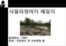 관광교육론,북유럽의 관광자원,관광문화 30페이지