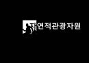 관광교육론,북유럽의 관광자원,관광문화 33페이지