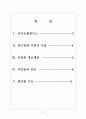 [카카오기업분석] 카카오톡의 경영전략분석 보고서 2페이지