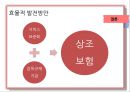 국내 상조시장 현황 및 발전방안 - 국내상조시장, 상조 문화, 상조 서비스 보험 비교, 해외 장례 문화.ppt 18페이지