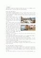 국내실버타운의 사례분석과 시사점, The Heritage, The Classic 500, 더헤리티지, 더클래식500, 실버타운분석 11페이지