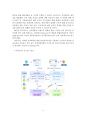 [교육학개론] 팬덤 문화, 청소년문화, 9페이지