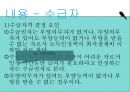 국민기초생활보장제도란 12페이지