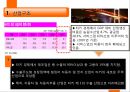 국제시장조사론,터키시장조사,터키경제,마케팅,브랜드,브랜드마케팅,기업,서비스마케팅,글로벌,경영,시장,사례,swot,stp,4p 20페이지