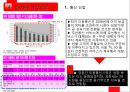 국제시장조사론,터키시장조사,터키경제,마케팅,브랜드,브랜드마케팅,기업,서비스마케팅,글로벌,경영,시장,사례,swot,stp,4p 48페이지