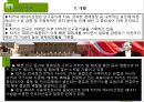 국제시장조사론,터키시장조사,터키경제,마케팅,브랜드,브랜드마케팅,기업,서비스마케팅,글로벌,경영,시장,사례,swot,stp,4p 51페이지
