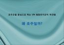 국제기구의 인도주의적 개입의 정당성,인도주의사례,르완다,아이티,동티모르,호프만의 정의,로즈노의 정의 38페이지