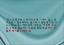 국제기구의 인도주의적 개입의 정당성,인도주의사례,르완다,아이티,동티모르,호프만의 정의,로즈노의 정의 44페이지