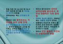 국제기구의 인도주의적 개입의 정당성,인도주의사례,르완다,아이티,동티모르,호프만의 정의,로즈노의 정의 51페이지