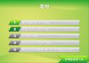 국제금융,글로벌경제-유럽시장,긍정효과,부정효과,복수균형이론 2페이지