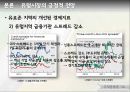 국제금융,글로벌경제-유럽시장,긍정효과,부정효과,복수균형이론 8페이지
