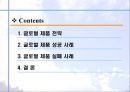 글로벌 제품의 성공 및 실패 사례,글로벌제품성공사례,글로벌제품실패사례,글로벌제품전략,이케아,버버리,켈로그,제록스 2페이지