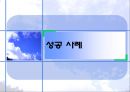 글로벌 제품의 성공 및 실패 사례,글로벌제품성공사례,글로벌제품실패사례,글로벌제품전략,이케아,버버리,켈로그,제록스 5페이지