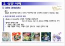 글로벌 제품의 성공 및 실패 사례,글로벌제품성공사례,글로벌제품실패사례,글로벌제품전략,이케아,버버리,켈로그,제록스 9페이지