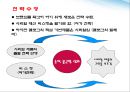 글로벌가격전략,켈로그,인도시장마케팅,마케팅,브랜드,브랜드마케팅,기업,서비스마케팅,글로벌,경영,시장,사례,swot,stp,4p 46페이지