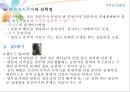 기독교와성윤리,성문화,현대 기독교 성문화의 유형 11페이지