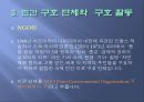 기아문제,기아문제현재상황,기아문제상황,기아문제원인,기아문제분석,기아문제구호활동,기아문제지원,기아문제해결책 19페이지