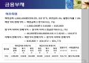 금융부채개념및유형,금융부채특성,금융부채인식 15페이지