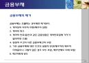 금융부채개념및유형,금융부채특성,금융부채인식 19페이지