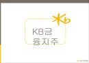 금융지주회사,금융지주분석,KB금융지주,지주회사분석.PPT자료 13페이지