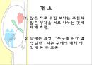 낙태현황,루마니아의낙태현황,4개월3주그리고2일,피임과낙태,여성의낙태 4페이지