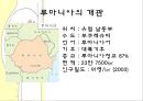낙태현황,루마니아의낙태현황,4개월3주그리고2일,피임과낙태,여성의낙태 10페이지