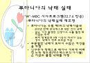 낙태현황,루마니아의낙태현황,4개월3주그리고2일,피임과낙태,여성의낙태 12페이지