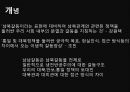 남북관계와 대북정책,북한의 대남전략,북한의 대남전략,대북정책의 역사 41페이지