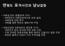남북관계와 대북정책,북한의 대남전략,북한의 대남전략,대북정책의 역사 60페이지