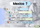멕시코의 경제성장과 발전 3페이지