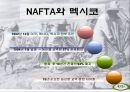 멕시코의 경제성장과 발전 11페이지