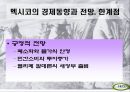 멕시코의 경제성장과 발전 21페이지