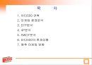 비타 500 분석  2페이지