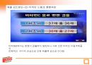 비타 500 분석  20페이지