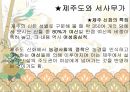 농경의 여신 ‘자청비’ - 세경 본풀이 (자청비에대한여성상,자청비내용분석,자청비).PPT자료 8페이지