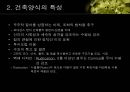 르네상스 건축에 관하여  5페이지