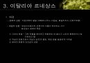 르네상스 건축에 관하여  9페이지