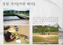 백제 건축을 찾아서 5페이지