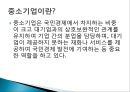 대기업과 중소기업의 사회적 역할과 책임,기어브이사회적책임,CSR,대기업과중소기업간의협력관계,대기업과중소기업 17페이지