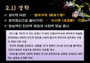 茶山 정약용 유학과 서학의 창조적 종합자 - 다산정약용,정약용의 실학세계,목민심서,경학,흠흠신서.PPT자료 8페이지