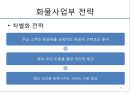 대한항공의 분석과 전략설정 - 한국 항공산업의 역사,한성항공, 제주항공, 진에어, 에어부산,저가항공사.ppt 63페이지