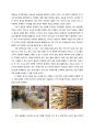 대형 할인점 ‘E-Mart’에 대한 비판적 분석 - 유명 서비스 기업의 분석 (이마트서비스전략,이마트비판적분석,대형할인점분석) 9페이지