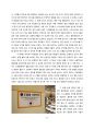 대형 할인점 ‘E-Mart’에 대한 비판적 분석 - 유명 서비스 기업의 분석 (이마트서비스전략,이마트비판적분석,대형할인점분석) 15페이지