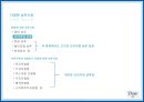 Dove RENAMING - 도브리네이밍,도브마케팅,마케팅전략사례,마케팅,브랜드,브랜드마케팅,기업,서비스마케팅,글로벌,경영,시장,사례,swot,stp,4p.PPT자료 9페이지
