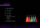 대형할인마트,이마트,코스트코,이마트4P,코스트코4P,대형할인마트서비스,할인마트서비스,이마트마케팅,코스트코마케팅,이마트분석,코스트코분석 2페이지
