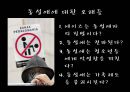 동성애의기원,동성애문화,동성애기원,동성애자 9페이지