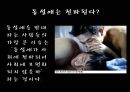 동성애의기원,동성애문화,동성애기원,동성애자 12페이지
