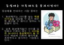동성애의기원,동성애문화,동성애기원,동성애자 16페이지