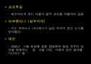 동성애의기원,동성애문화,동성애기원,동성애자 33페이지