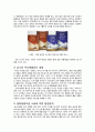 동서식품 ‘카누’ 마케팅 관리 성공사례 연구,브랜드마케팅,서비스마케팅,글로벌경영,사례분석,swot,stp,4p 10페이지